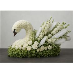 Soft Grace Swan Tribute