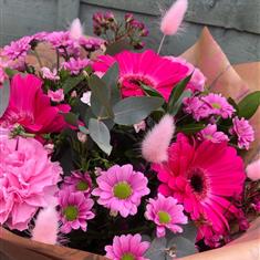 Pink Cerise Sunshine