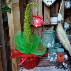 Grinch Inspired Tree