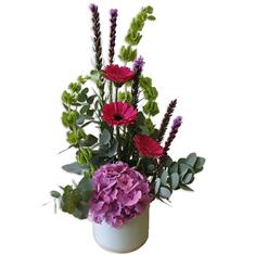 A Botanical Arrangement